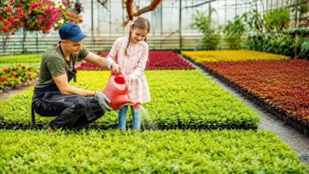 Improve Soil Before Planting